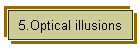 5.Optical illusions