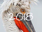 natuur 2018
