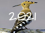 natuur 2021