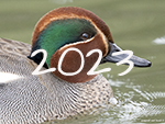 natuur 2021