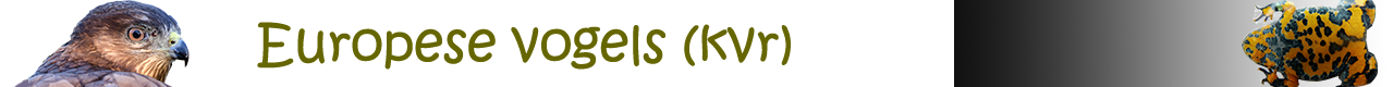 Vogels kvr